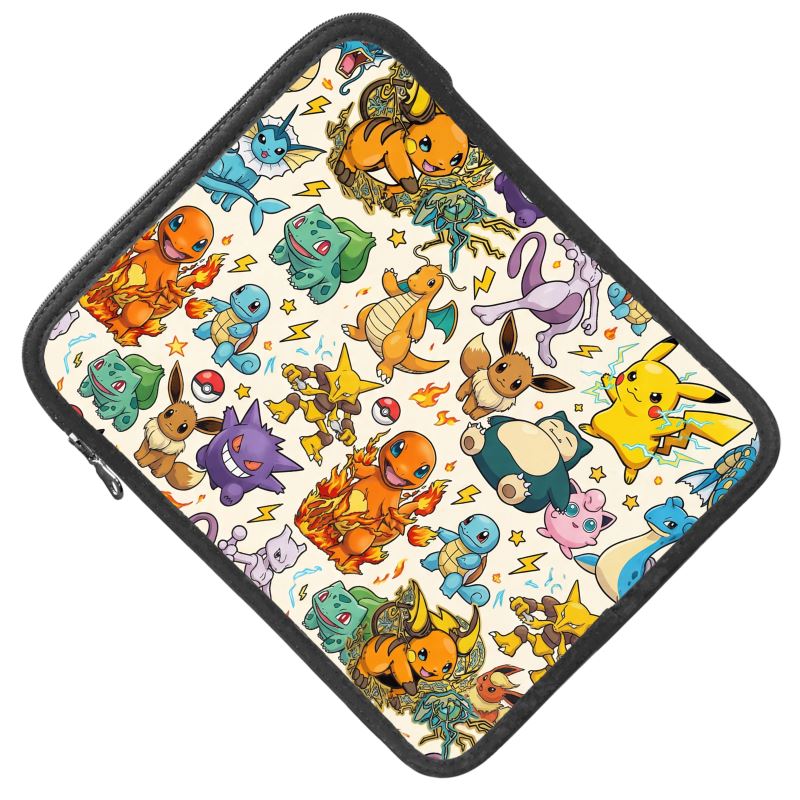 iPad Slip Case